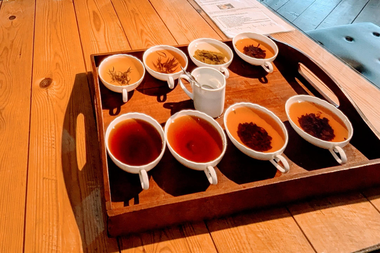 Kandy: Tea Factory Tour with Tasting and Tuk-Tuk Ride