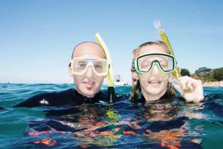 Portsea: Guided Snorkeling Tour with Weedy Sea Dragons