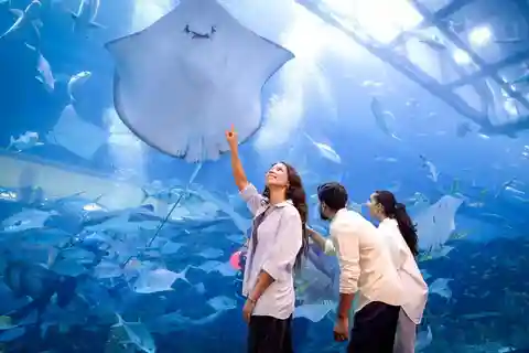 Dubai Aquarium + Sky Views Observatory Tickets