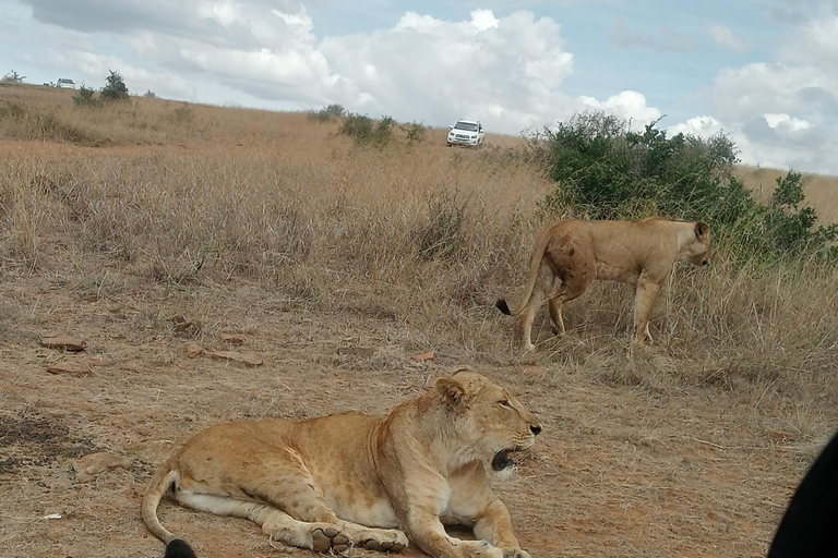 Parc national du lac Nakuru depuis Nairobi