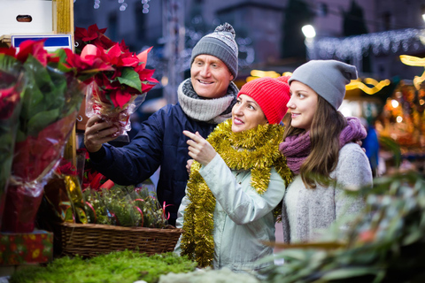 O Natal Encantado de Zurique: Uma viagem festiva