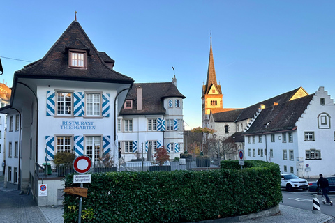 Bâle : Stein Am Rhein, Schaffhausen et croisière sur le Rhin