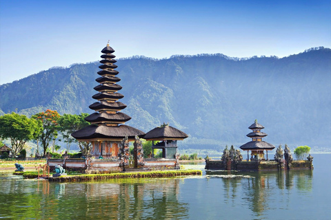 North of Bali: Private Tour with UNESCO World Heritage site Private Tour : Ticket Excluded