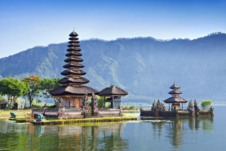 North of Bali: Private Tour with UNESCO World Heritage site Private Tour : Ticket Included