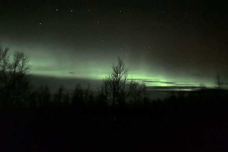 Excursión en minibús a la aurora boreal en el Parque Nacional de Abisko