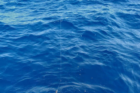 Rhodos: 4 uur durende privéboottocht met visuitrustingRhodes: Privéboottocht van 4 uur om te vissen, inclusief uitrusting