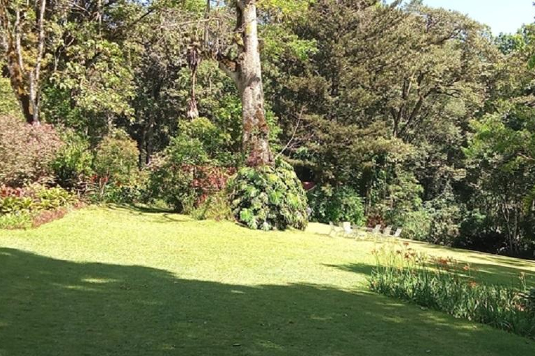 Kakamega Bos: Vogelsafari