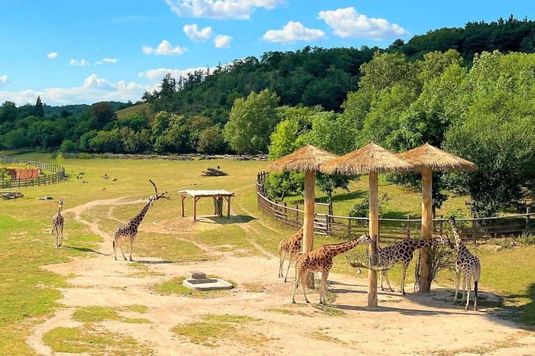 Prag: Audioguide Zoo Prag mit E-Ticket