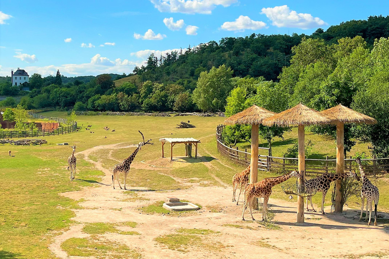 Praga: Audioprzewodnik po praskim zoo z biletem elektronicznym