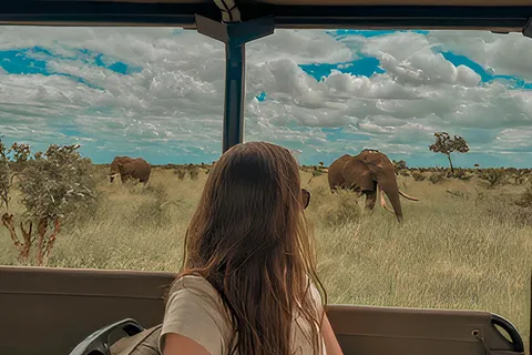 Safári económico com tudo incluído no Kruger e Panorama a partir de Joanesburgo