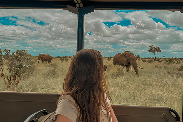 Budget Kruger &amp; Panorama meerdaagse tour vanuit Johannesburg5-daagse budgetreis naar Kruger &amp; Panorama