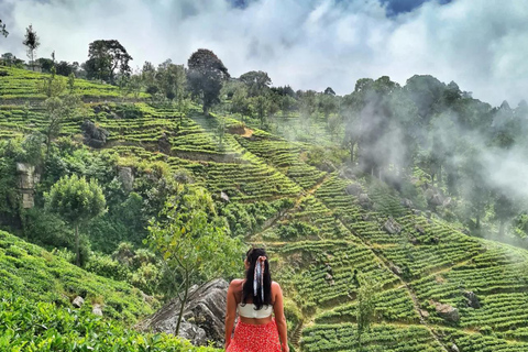 Kandy to Yala Transfer With Hidden Stops & Spice Garden
