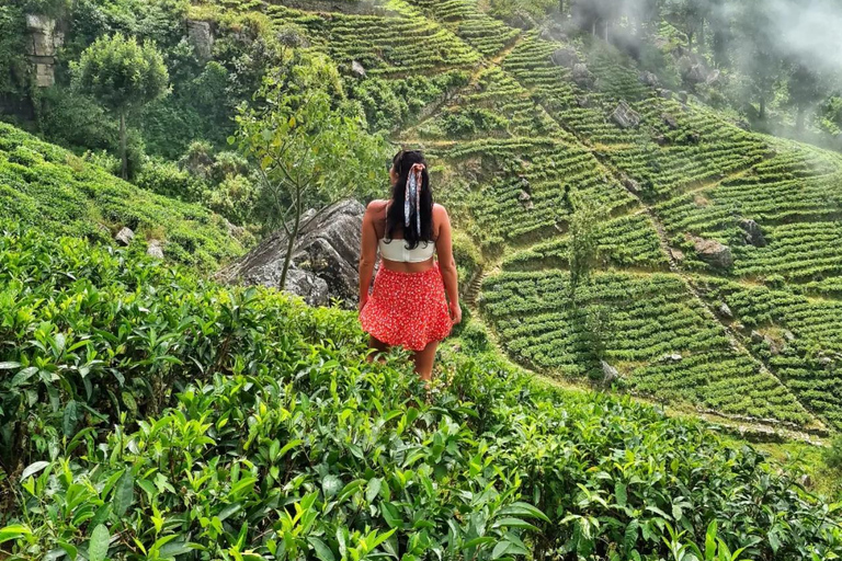 Kandy to Yala Transfer With Hidden Stops & Spice Garden