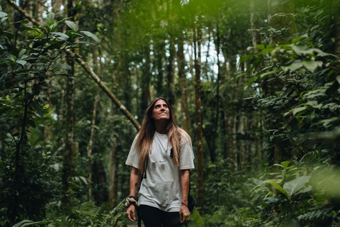 Tetebatu Waterfalls, Rice Terraces & Monkey Forest Day trip