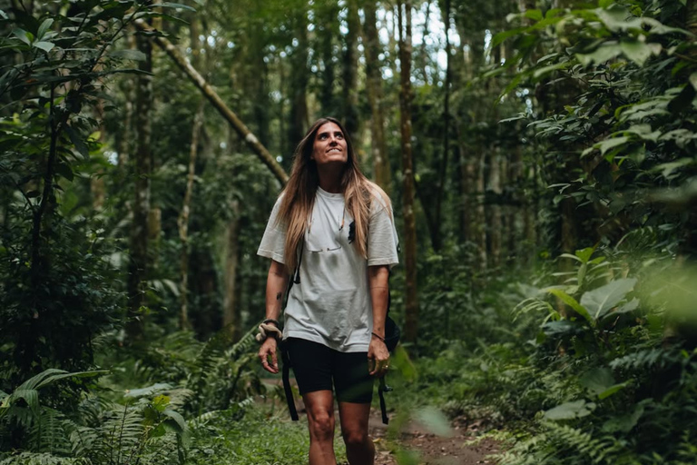 Tetebatu Waterfalls, Rice Terraces & Monkey Forest Day trip