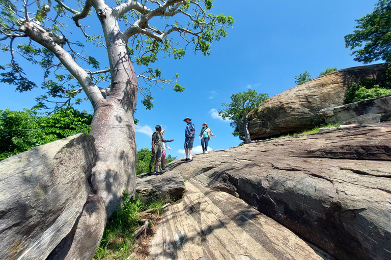 Safari por Accra