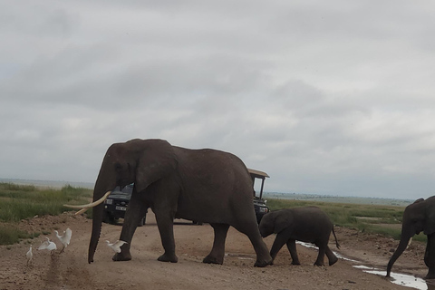 جولة رحلة ليوم واحد في أمبوسيلي - إطلالة على كليمنجارو