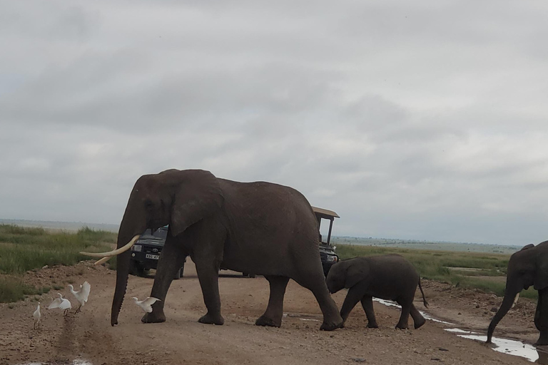جولة رحلة ليوم واحد في أمبوسيلي - إطلالة على كليمنجارو