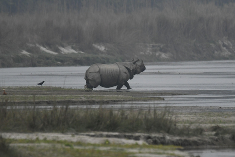 3 Nights 4 Days Chitwan National Park Tours