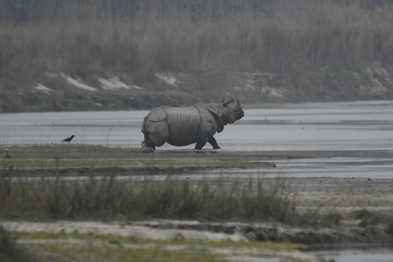 3 Nights 4 Days Chitwan National Park Tours