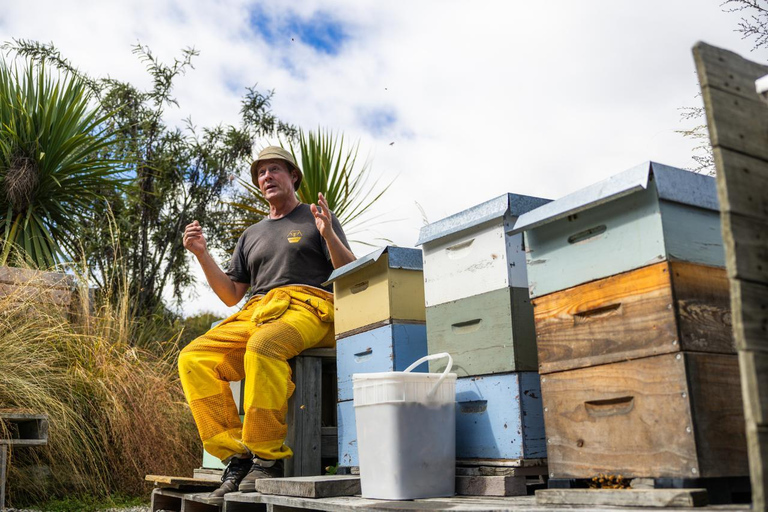 Queenstown: Beekeeping and Honey Spinning Experience