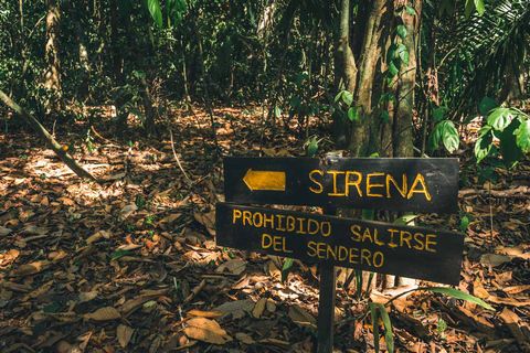 Parc national du Corcovado : Randonnée guidée - Journée entière