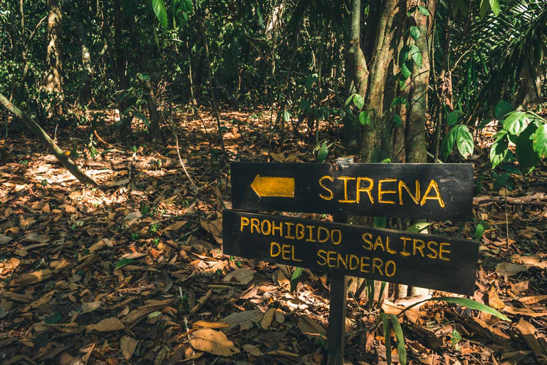 Parque Nacional del Corcovado: Excursión guiada de senderismo - Día completo