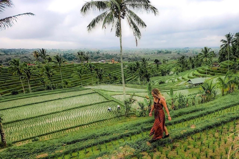 Ubud: Temple, Waterfall, Rice Terrace, Ubud Market & Palace Without entry tickets