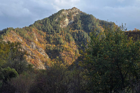 Tbilisi: Silk Road Secret Pass 4x4 Tour to Rkoni & Picnic
