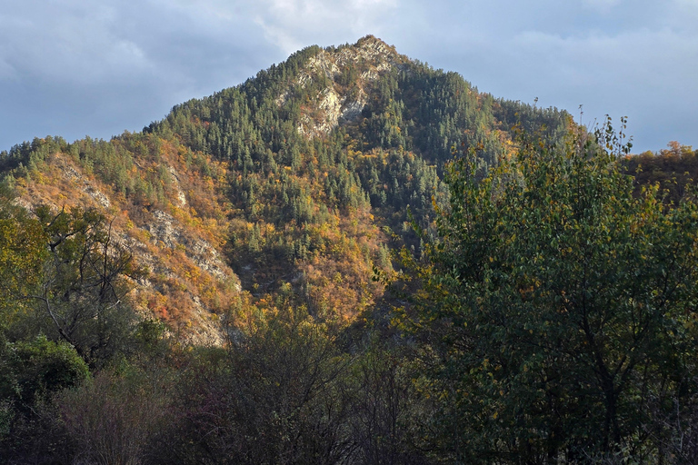 Tbilisi: Silk Road Secret Pass 4x4 Tour to Rkoni & Picnic