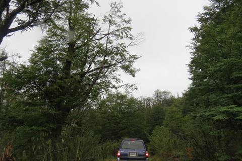 San Martín de los Andes: a 4x4 guided tour to the Mallin