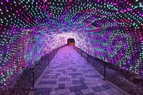 From Seoul: Gwangmyeong Cave Private Tour with Hotel Pickup