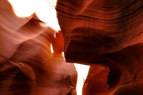 Wadi Rum: Horseback Ride to Khazali Canyon & Sand Dune