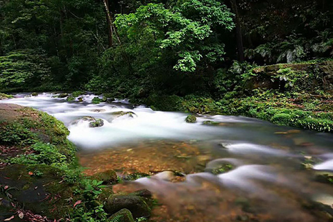 Zhangjiajie: 6-Day Private Tour with Phoenix Ancient Town