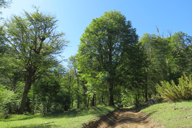 San Martín de los Andes: Half-Day Tour to the Mallin Grande