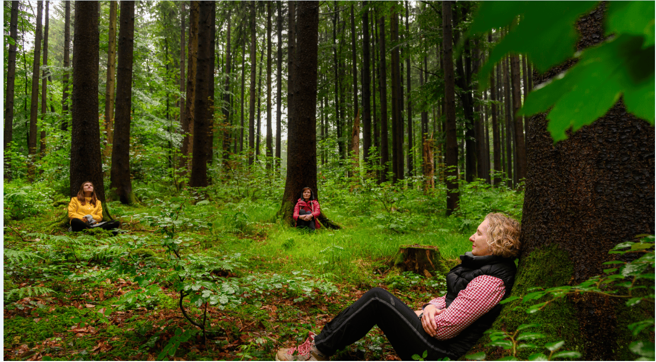 Bad Wörishofen: Shinrin-Yoku – Waldbaden