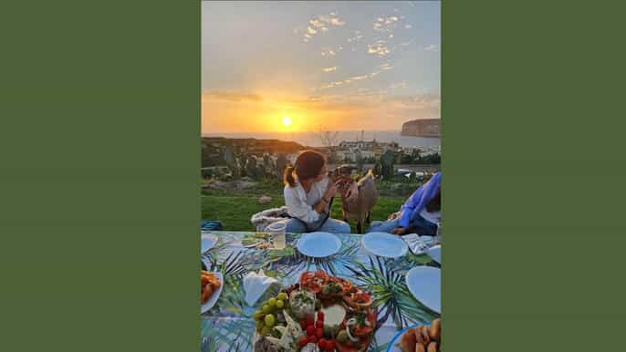 Gozo: Xlendi Bay Sunset Picnic with Pygmy Goats