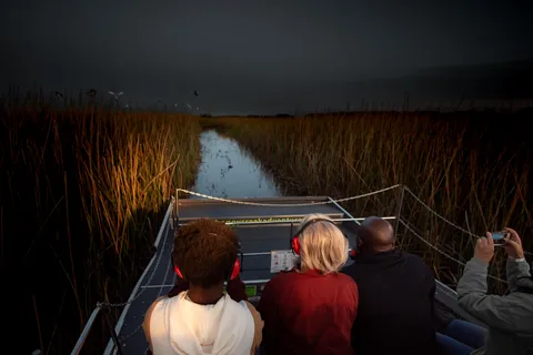 Kissimmee: Boggy Creek Airboats Adventures Night Tour Ticket