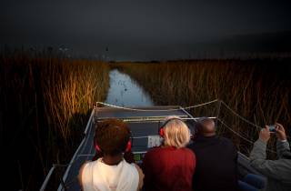 Kissimmee: Boggy Creek Airboats Adventures Night Tour Ticket
