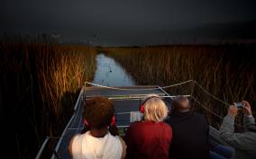 Kissimmee: Boggy Creek Airboats Adventures Night Tour Ticket