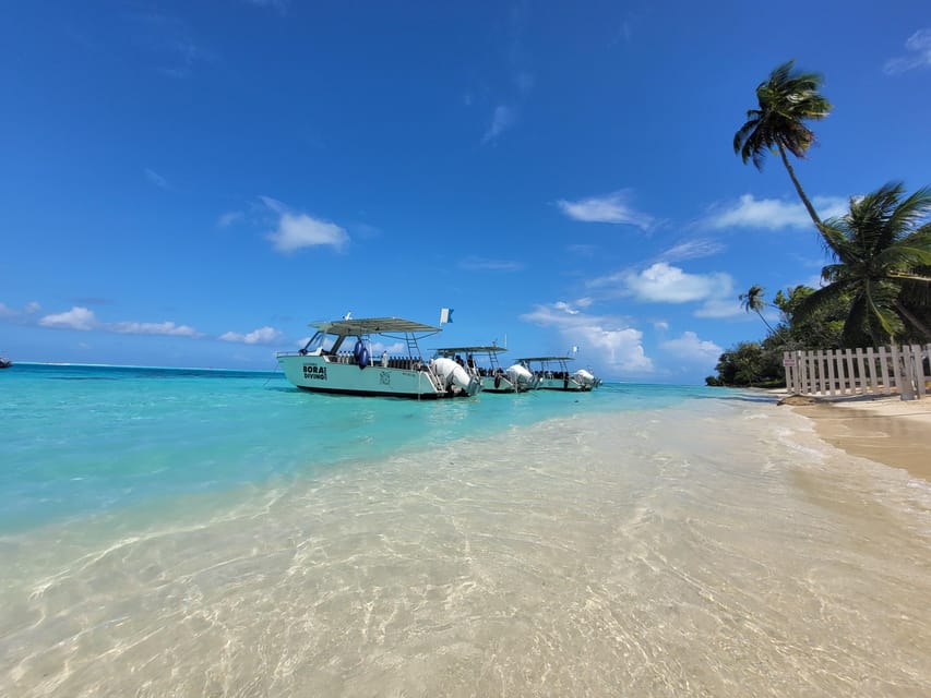 Bora Bora: 1 plongée en après-midi pour plongeur certifié