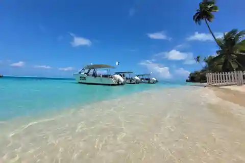 Bora Bora: 1 afternoon dive