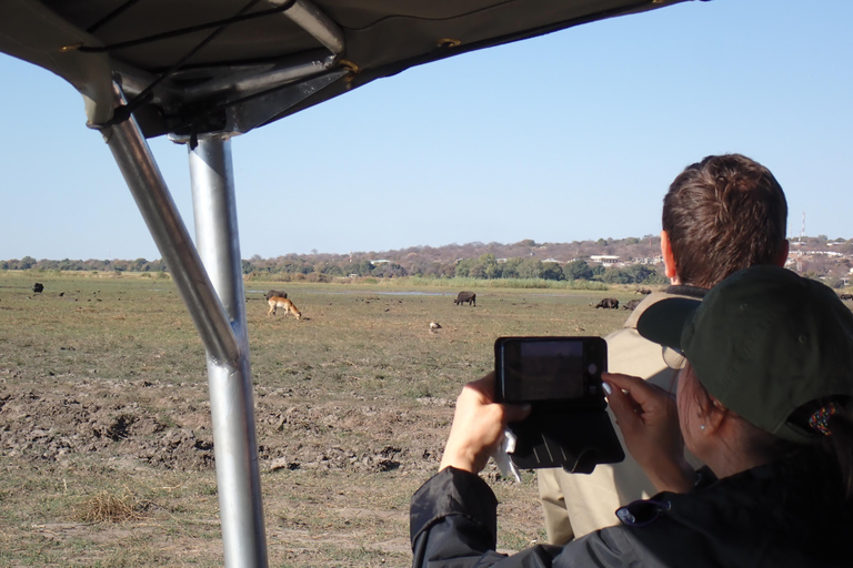 Chobe River Safari Cruise with Professional Guide