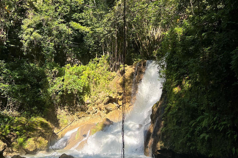 Floyd’s Pelican Bar, Ys Falls and Black River Safari Tour From Negril