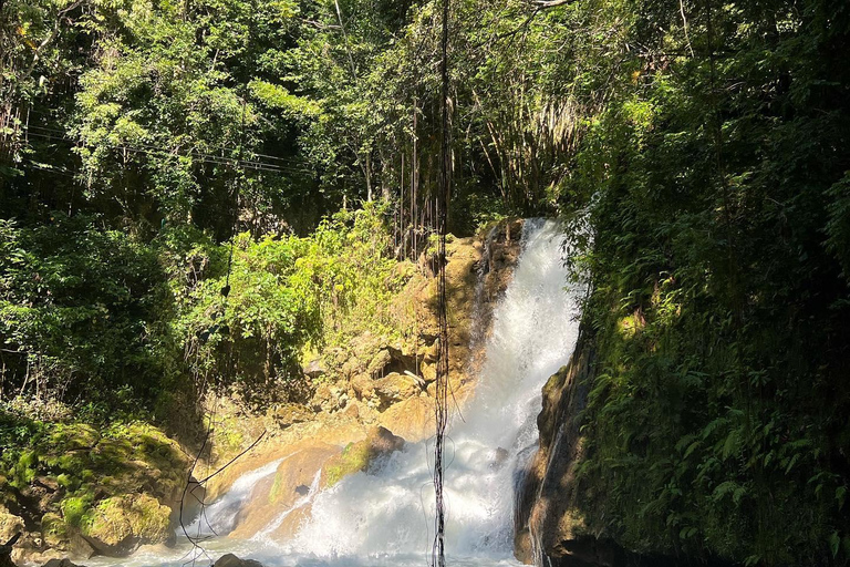 Floyd’s Pelican Bar, Ys Falls and Black River Safari Tour From Negril