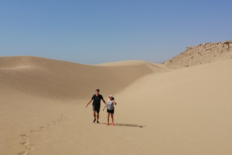 Agadir: Timlaline Sand Dunes Sunset Tour with BBQ Dinner