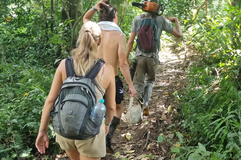 Santa Marta: 2-Day Jungle Adventure, Rappelling and Camping