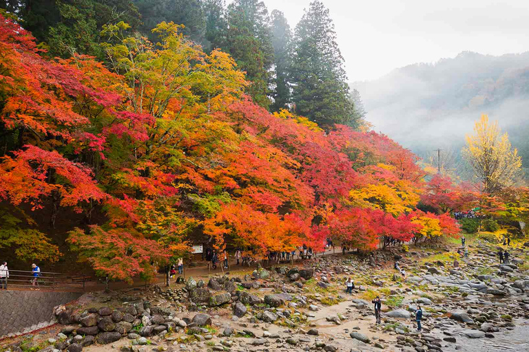 Nagoya: Folhas de outono de Korankei e viagem de 1 dia ao Templo EihojiNagoya: Folhas de outono em Korankei e viagem de 1 dia ao Templo Eihoji