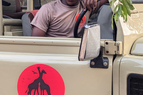 Arusha: 4 giorni di safari nel Serengeti e nel cratere del NgorongoroSafari privato