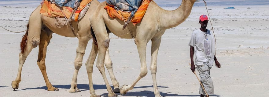 Watamu : transfert aéroport